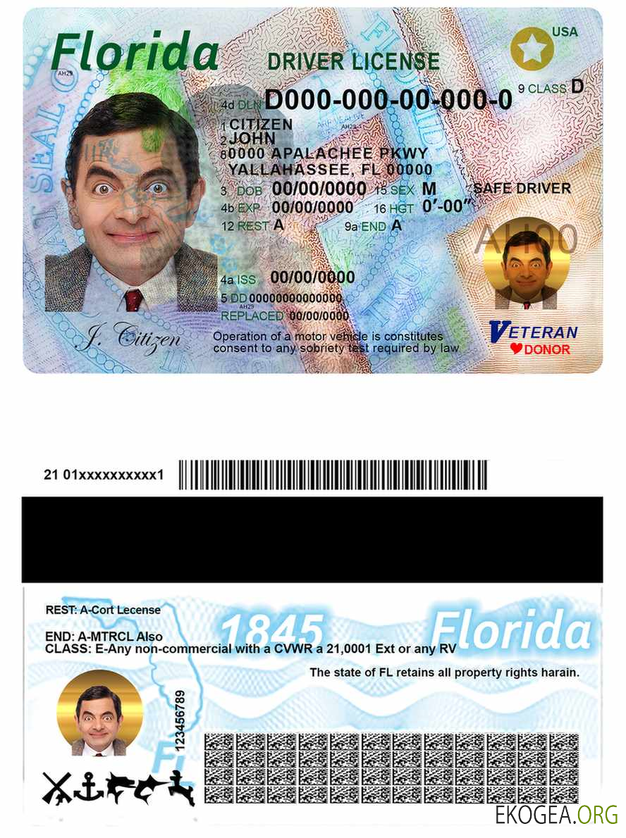 Usa Florida template